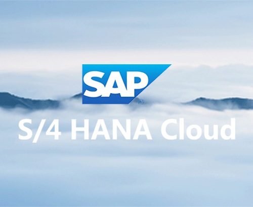 SAP S/4 HANA Cloud